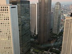 -东京都厅舍