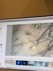 -史云逊养发护发