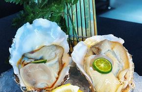Soul Oyster