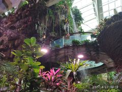 -正佳雨林生态植物园