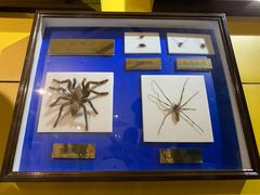 -上海昆虫博物馆