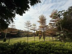 -厦门悦华酒店