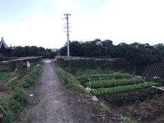 iphone_upload_pic-旺山景区