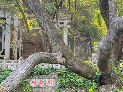 -蝴蝶泉公园