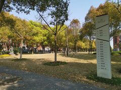-华东政法大学(松江校区)