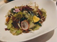 -蝶舍·MAISON PAPILLON