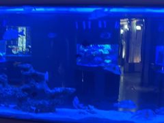 -上和臻品中国菜(花园街店)