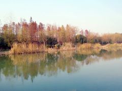 android_upload_pic-新江湾城公园