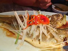 -前海沿·青岛菜(五四广场永旺店)