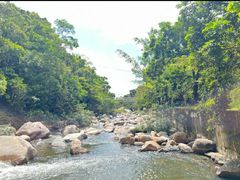 -海南热带雨林国家公园吊罗山景区