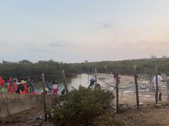 -北海金海湾红树林生态旅游区