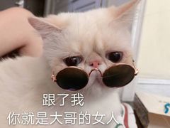 -都谷包子(天一广场店)