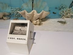 -中国（海南）南海博物馆