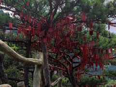 -罗田天堂寨风景区