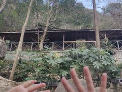 -宁海森林温泉