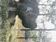-重庆彩云湖湿地公园