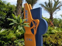 -演武大桥观景平台