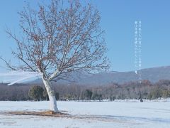 -钟山体育运动公园
