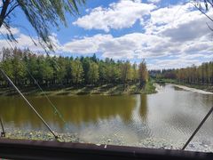 -黄海国家森林公园