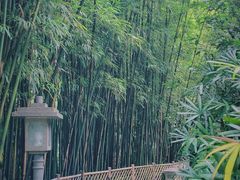 -广州兰圃