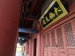 -大槐树寻根祭祖园