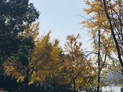 -苏州河梦清园环保主题公园