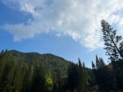 -深圳仙湖植物园