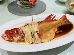 -万龙洲海鲜·粤菜(亚运村店)