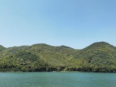 -大树下饭店(春晓镇慈岙社区卫生服务站南)