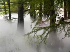 -东湖落雁景区