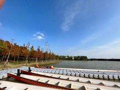 -上海海湾国家森林公园