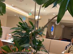 -鹿港小镇(西单大悦城店)