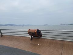 -演武大桥观景平台