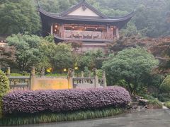 -十八棵（老龙井）御茶园(老龙井店)