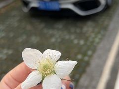 -南京市无想山景区