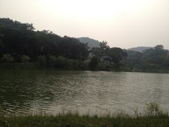 1.1-镇江市南山风景名胜区竹林景区