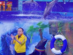 -多彩贵州城极地海洋世界