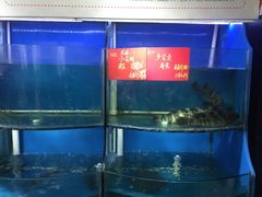 -紫阳家宴(源深店)