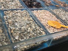 -盒马鲜生(文景博乐里购物广场店)