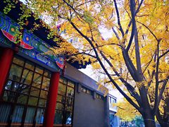 -四川大学(华西校区)