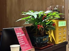 -聆耳·采耳·按摩·SPA(会展中心店)