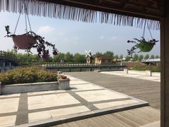 -呼兰河口湿地公园