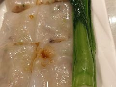 -金龙寨(龙城路店)