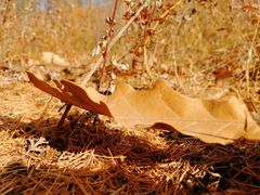 -白草畔自然风景区