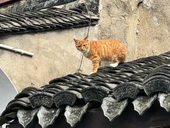 -鸣鹤古镇