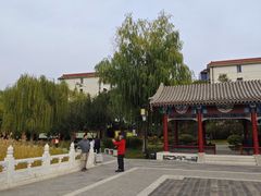 -西海子公园