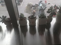 -沪上阿姨·精选茶饮(燕郊富地广场店)
