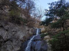 -王顺山国家森林公园