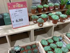 -AEON永旺(东方宝泰店)