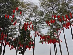 -深圳湾公园(南山区)